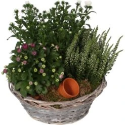 Herbst-Arrangement Im Korb-Gefäß Ø Ca. 21 Cm