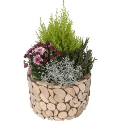 Herbst-Arrangement Im Holz-Gefäß Ø Ca. 23 Cm