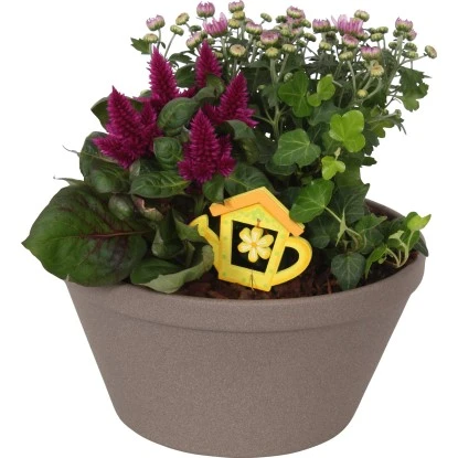 Sommer-Arrangement In Grauer Schale Ø Ca. 23 Cm 3 Sommer-Arrangement In Grauer Schale Ø Ca. 23 Cm