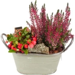 Herbst-Arrangement Im Zink-Gefäß Ø Ca. 22 Cm