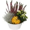 Herbst-Arrangement Im Zink-Gefäß Ø Ca. 20 Cm -Pola Pflanz Geschaft 8719194348905 4883 1