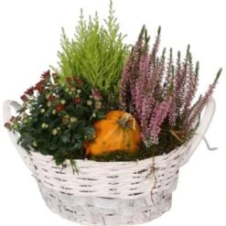 Herbst-Arrangement Im Flachen Korb Ø Ca. 28 Cm