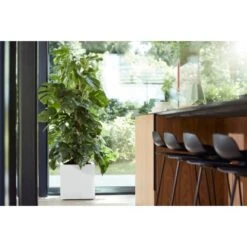 Elho Pflanztopf Vivo Matt Mit Rollen 39 Cm X 39 Cm X 41 Cm Weiß 9 Elho Pflanztopf Vivo Matt Mit Rollen 39 Cm X 39 Cm X 41 Cm Weiß -Pola Pflanz Geschaft 9345455 4667 4