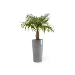 Ecopots Pflanztopf Amsterdam Halbhoch Grau 34 Cm X 66 Cm -Pola Pflanz Geschaft AmsterdamMidHigh66Grey 02