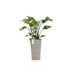 Ecopots Pflanztopf Rotterdam Halbhoch Braungrau 31 Cm X 56 Cm -Pola Pflanz Geschaft RotterdamMidHigh56Taupe 01