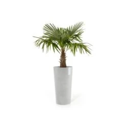 Ecopots Pflanztopf Amsterdam Hoch Weißgrau 41 Cm X 76 Cm -Pola Pflanz Geschaft msterdamHigh76WhiteGrey 02